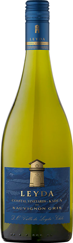 Leyda Kadún Sauvignon Gris