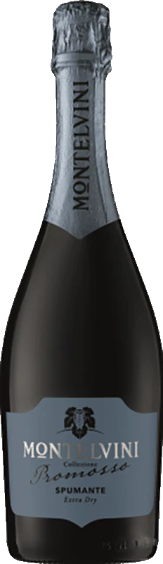 Montelvini Promosso Spumante