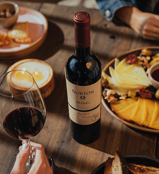 Norton Lujan De Cuyo Malbec DOC - Image 2