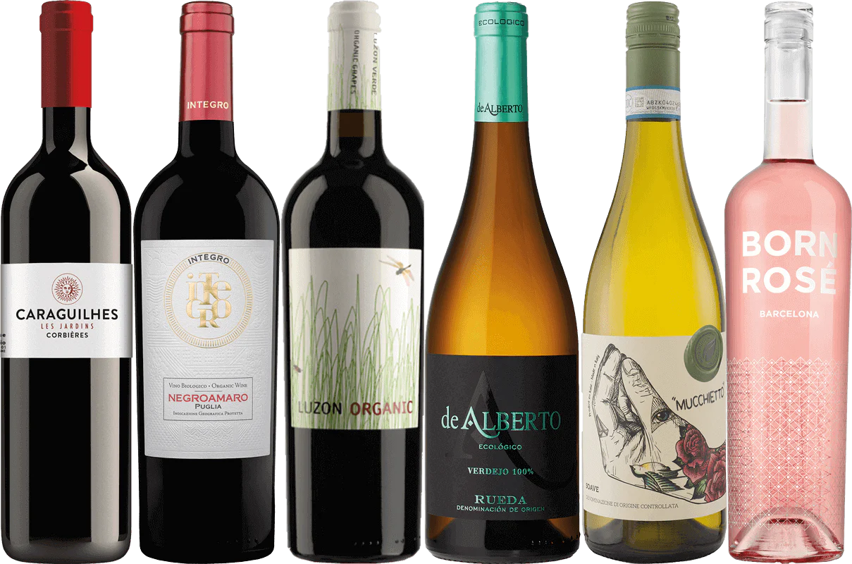 Organic Wine Discovery - 6 Bottle Mixed Wine Case