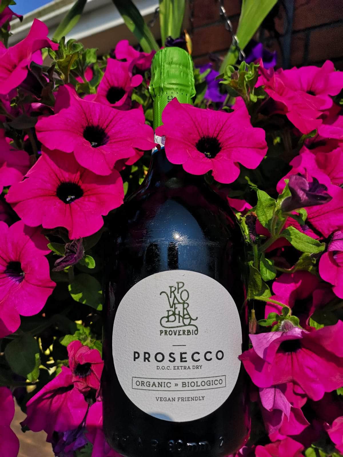 Proverbio Organic Prosecco - Image 2