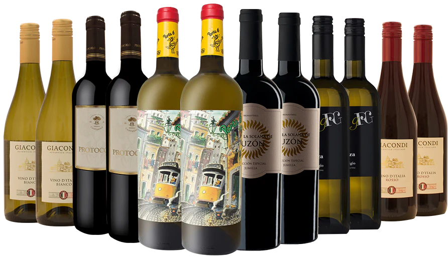 The Party Case - 12 Bottle Case