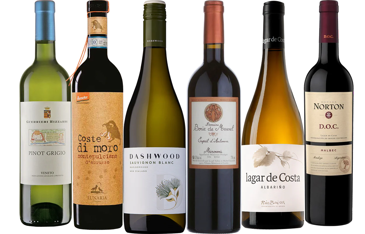Wine Buyers' Choice - 6 Bottle Mixed Case
